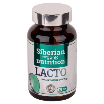 Siberian organic nutrition, Lacto (иммуномодулятор), капсулы, 42 шт.